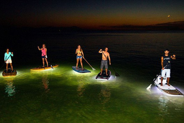 Stand Up Paddle Boarding with sunset and led lights $65 - Image 2