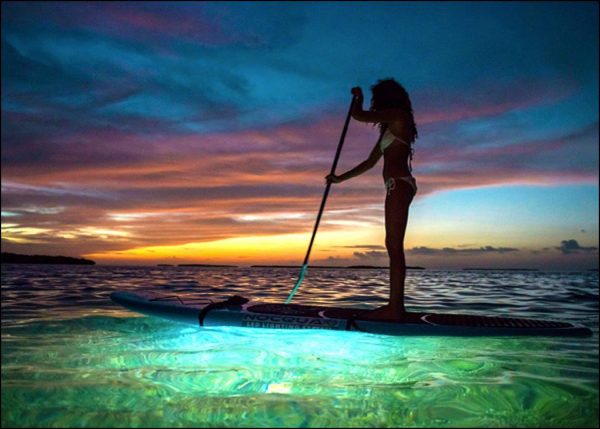 Stand Up Paddle Boarding with sunset and led lights $65