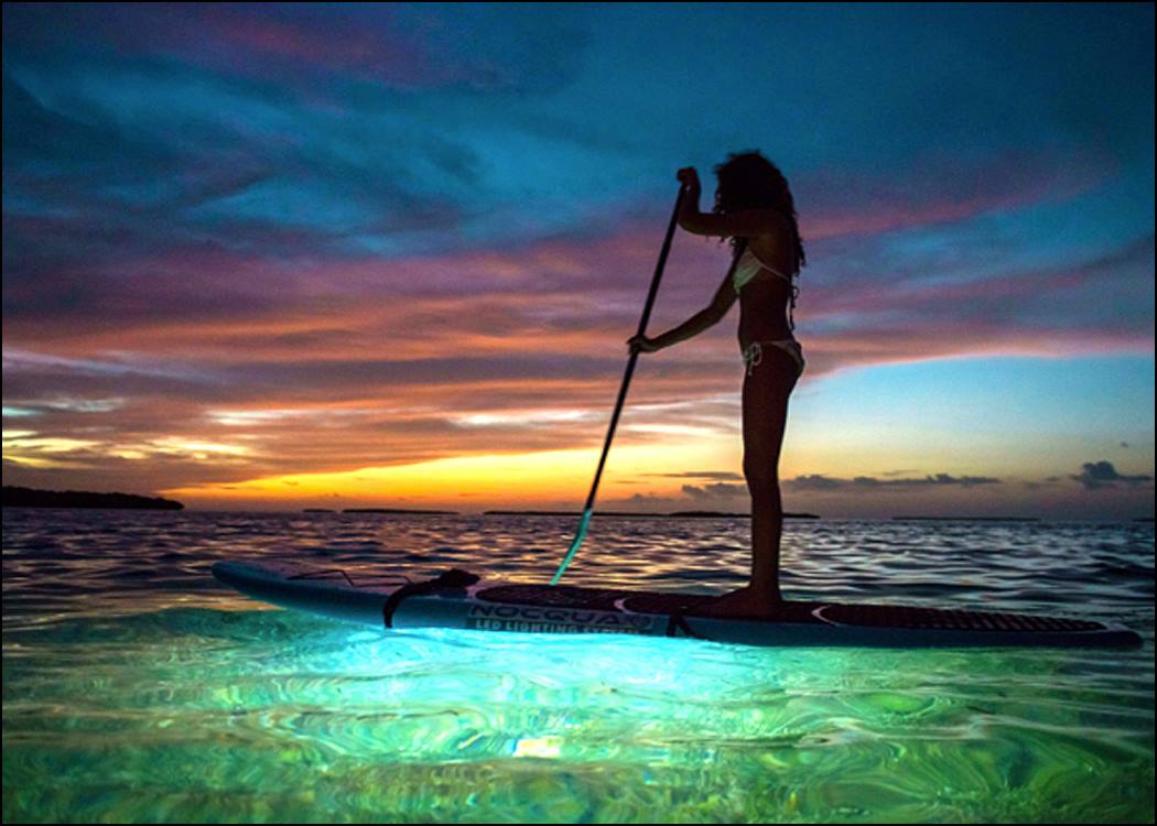 Stand Up Paddle Boarding with sunset and led lights $65