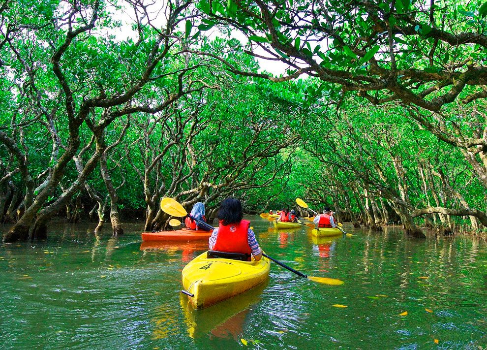 Manuel-Antonio-Mangrove-kayak
