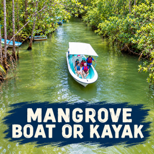 Mangrove Boat or Kayak experience near Manuel Antonio with Selina Style title